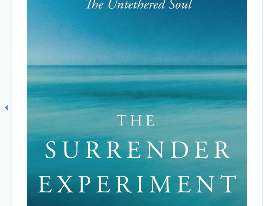 Image for The Surrender Experiment by Michael Singer