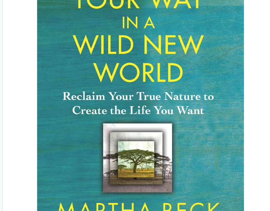 Image for Finding Our Way in a Wild World by Martha Beck