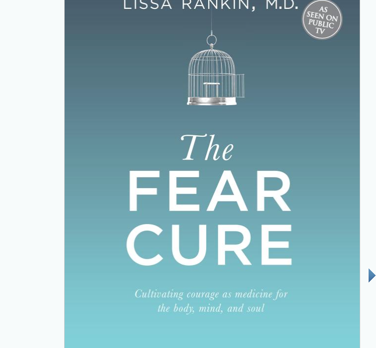 Image for The Fear Cure by Lissa Rinkin