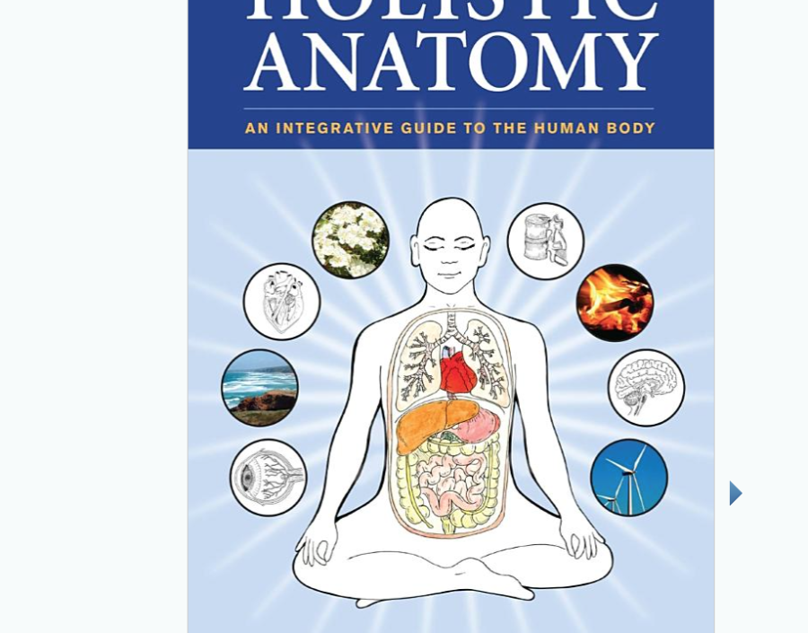 Image for Holistic Anatomy by Pip Walter